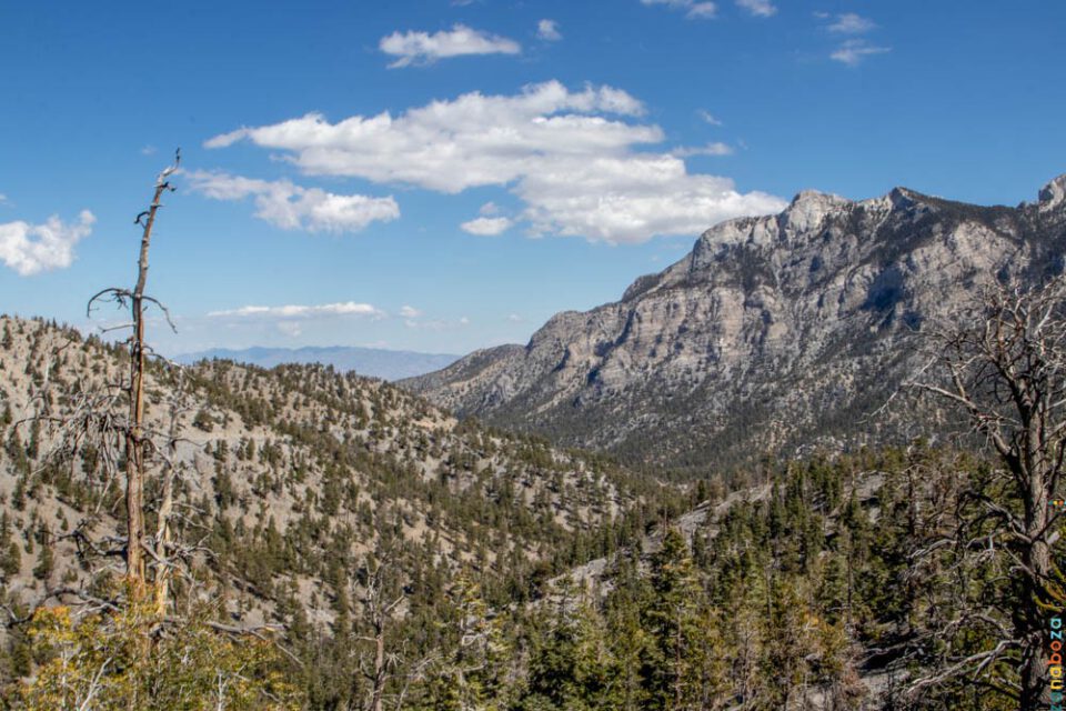 USA 2022 Dag 21-1026