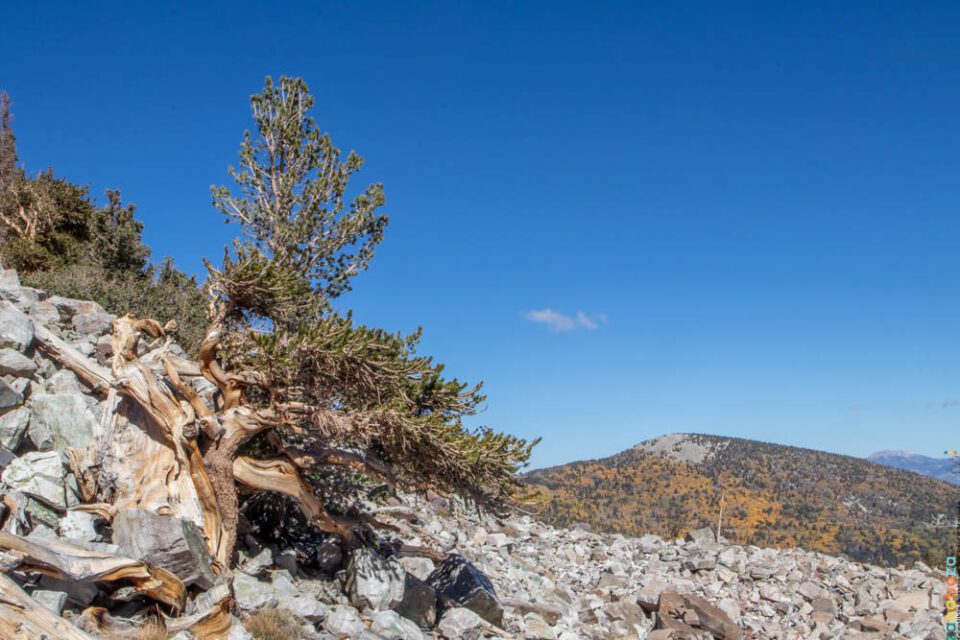 USA 2022 Dag 25-1010