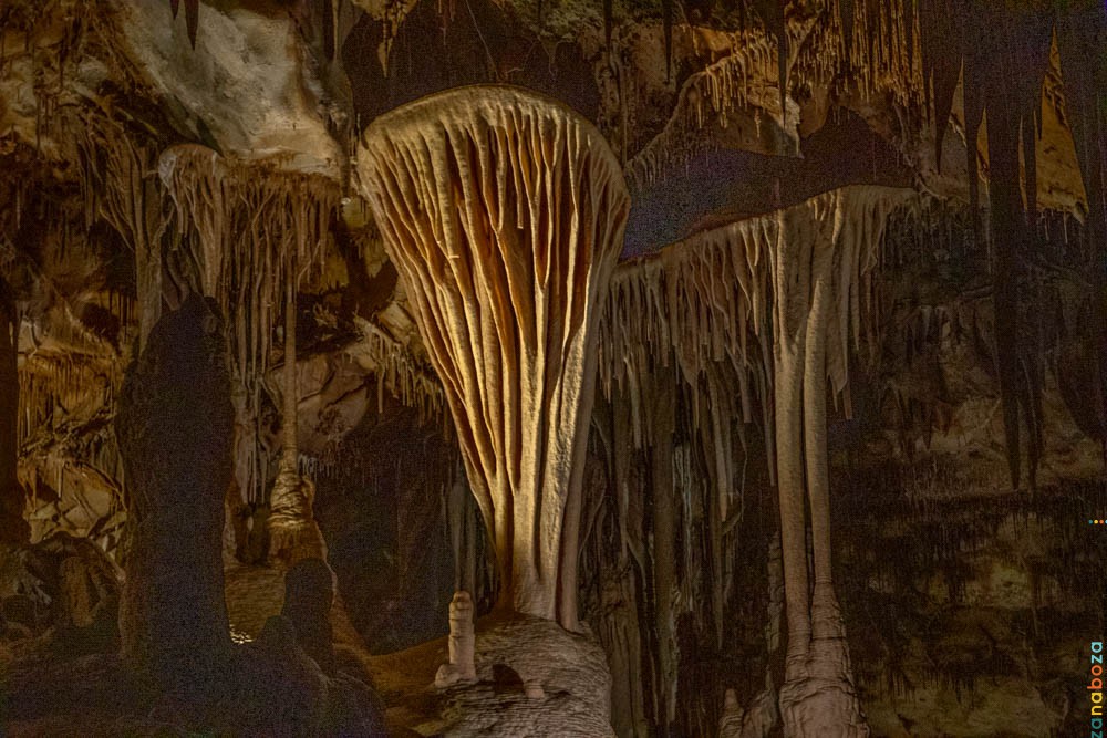 USA 2022 Dag 26-1008