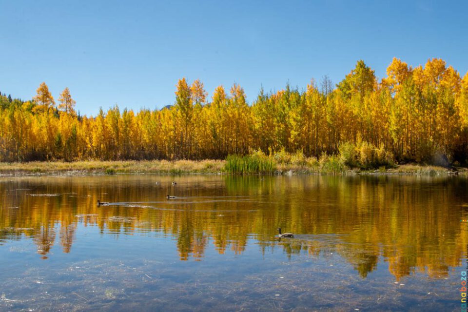 USA 2022 Dag 28-1018