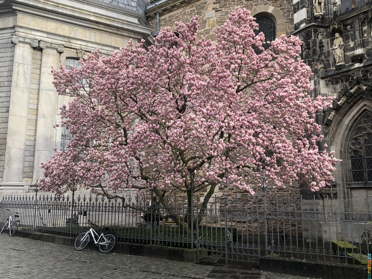 FBC12B27-48C4-41E7-AB97-3BEFE7141480_75889C6D-1B61-4484-A555-0DF1B6D11979