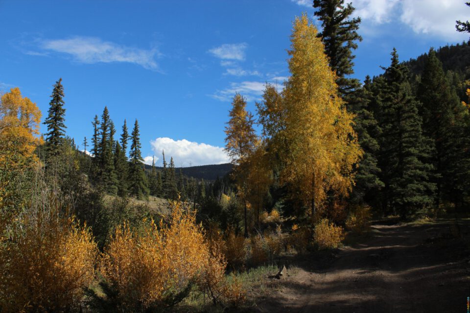 USA_2011_20110927_103209_2196