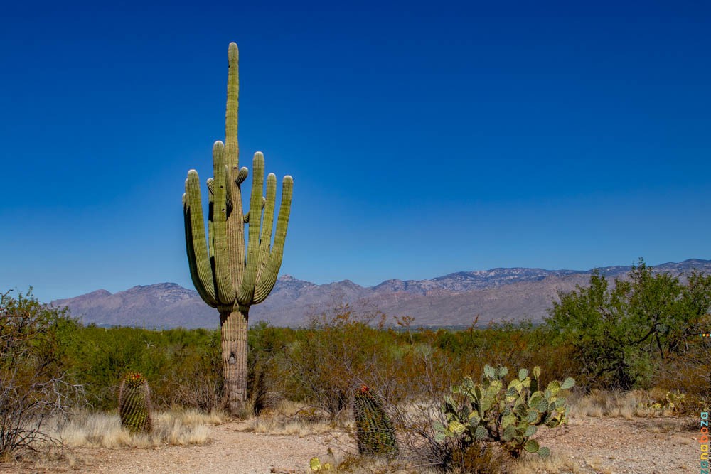 USA 2023 Dag 18-1006