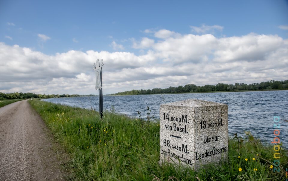 Zwarte Woud Dag 03-1017