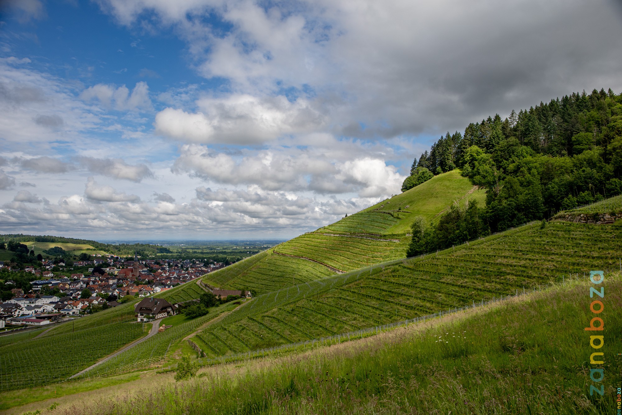 Zwarte Woud Dag 12-1016