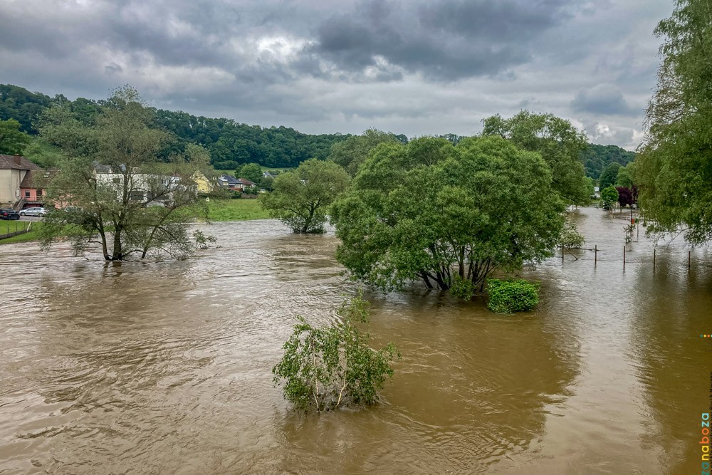 Zwarte Woud Dag 14-1016
