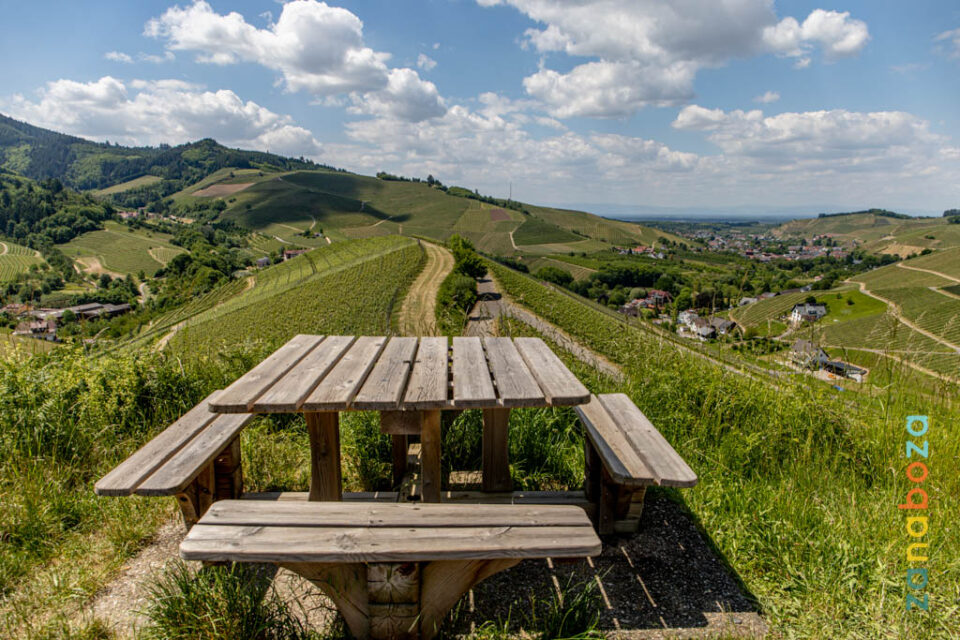 Zwarte Woud Dag 03-12312490