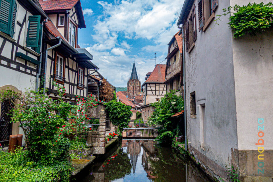 Zwarte Woud Dag 06-12312493