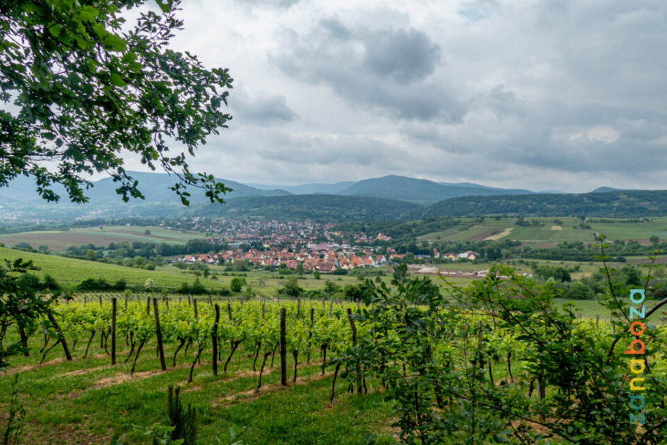 Zwarte Woud Dag 07-12312479