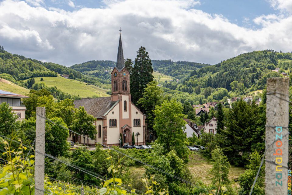 Zwarte Woud Dag 11-12312492
