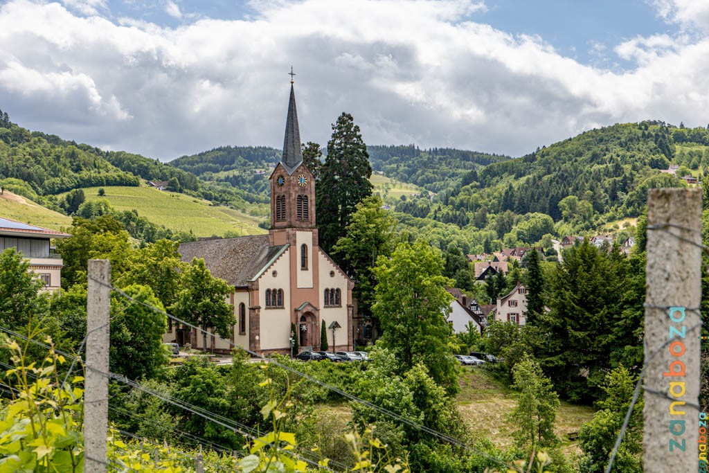 Zwarte Woud Dag 11-12312492