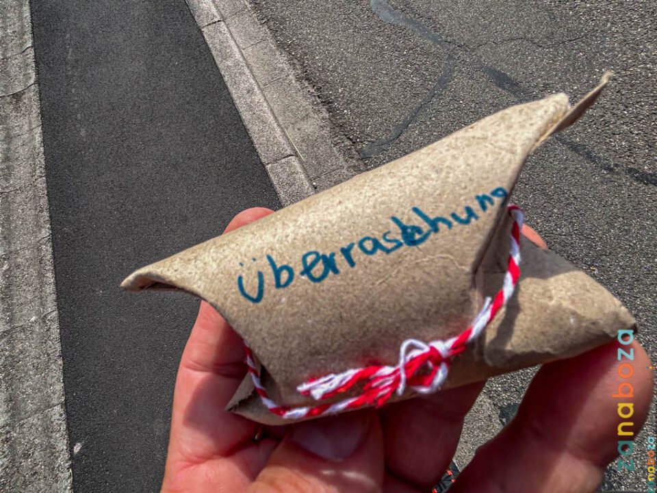 Zwarte Woud Dag 12-12312535