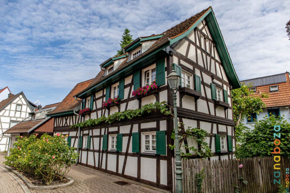 Zwarte Woud Dag 14-12312475