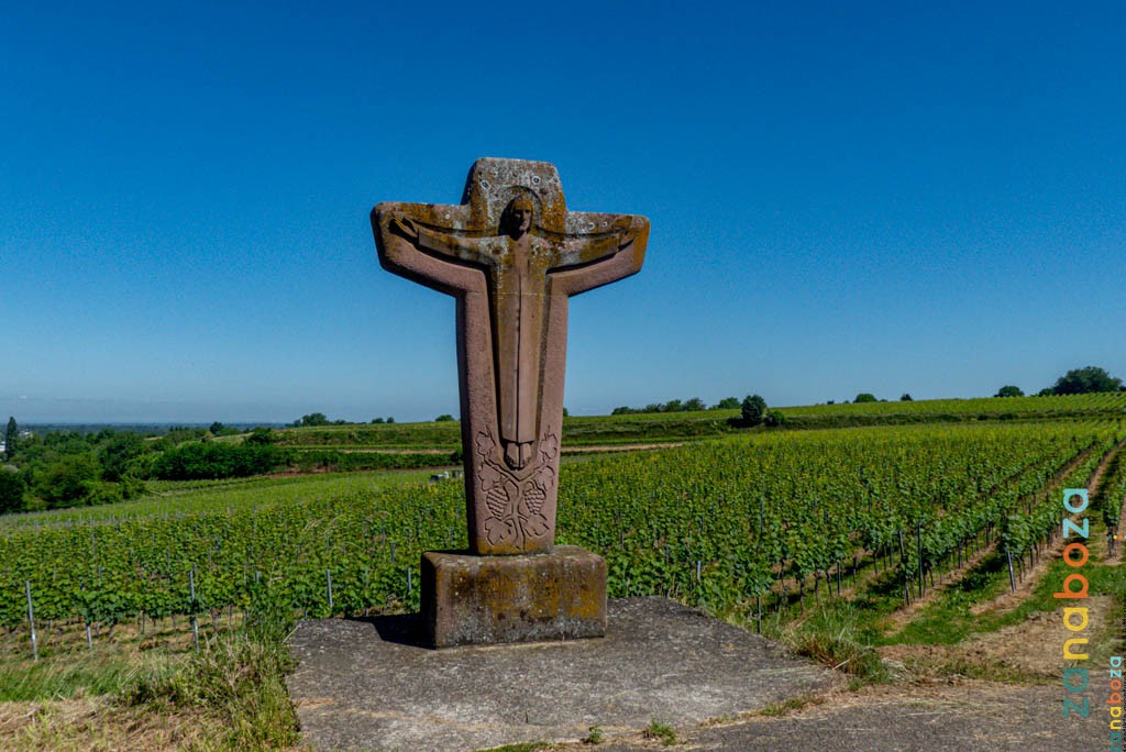 Zwarte Woud Dag 15-12312479