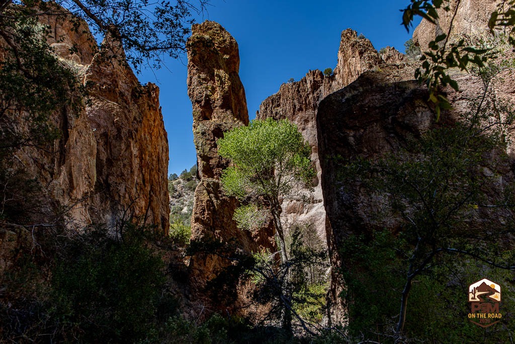 a4756401-be11-4daa-aa25-8fadfd2f5e4f