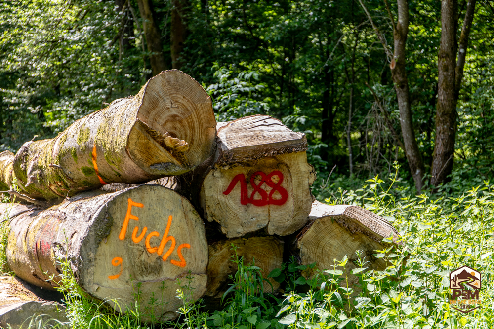 Zwarte Woud Dag 14 – -5007